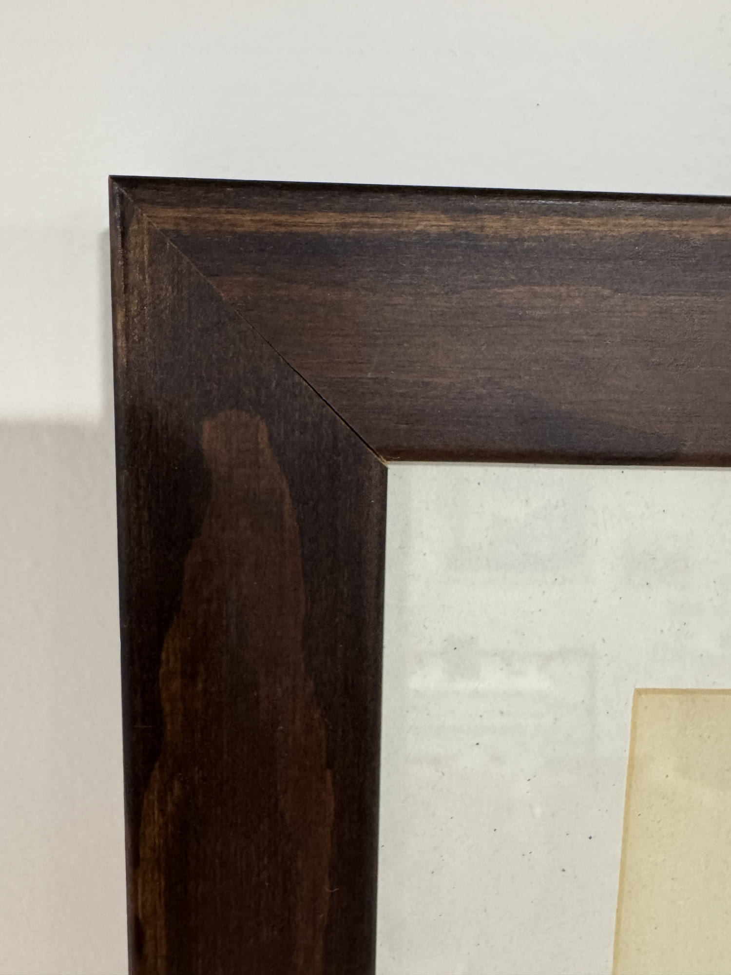 Постер Тигры