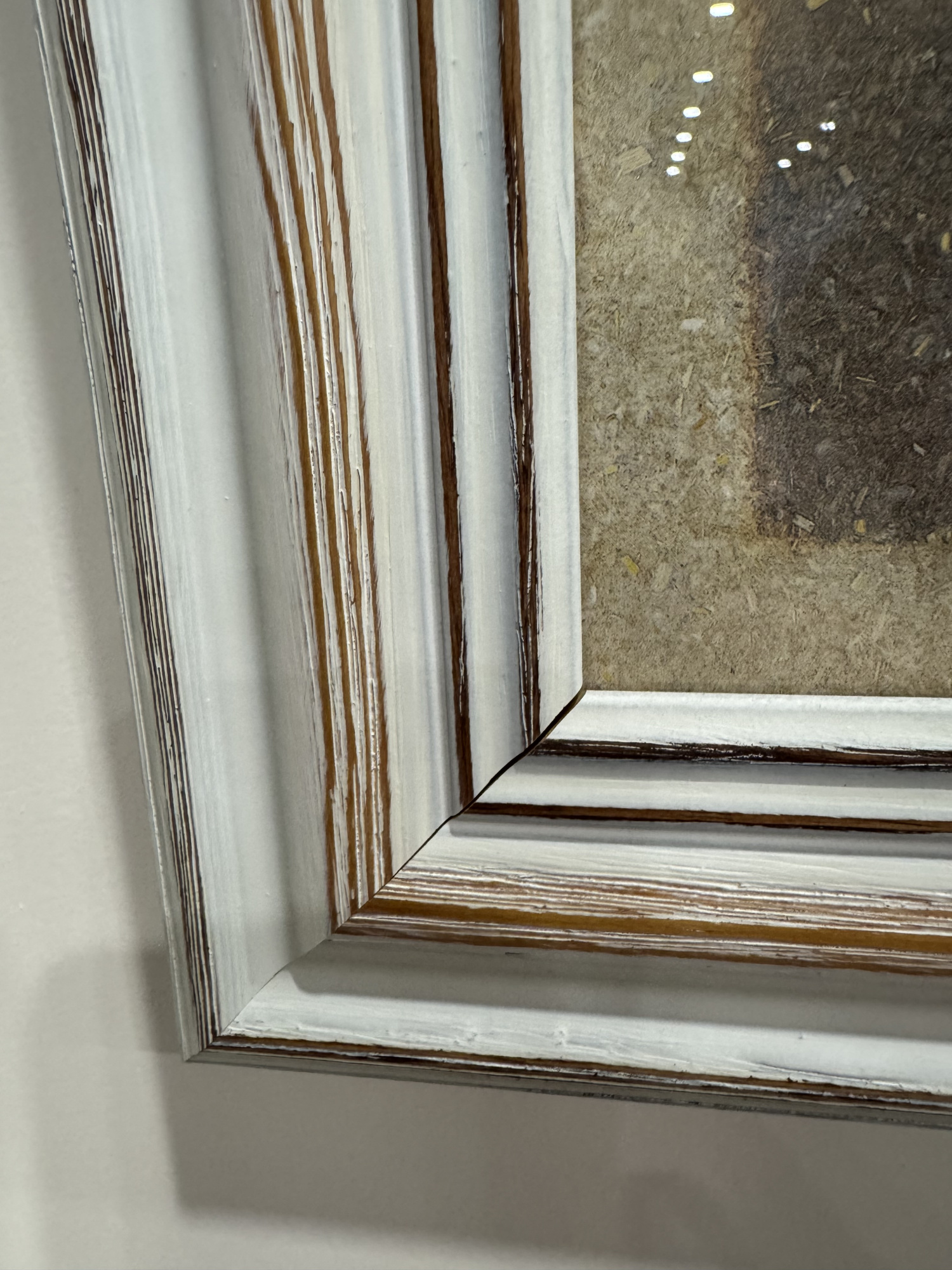 Постер Кошка